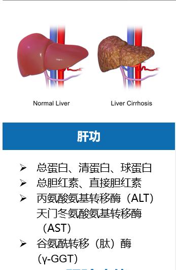 甲胎蛋白afp指标是查什么的,甲胎蛋白指标异常