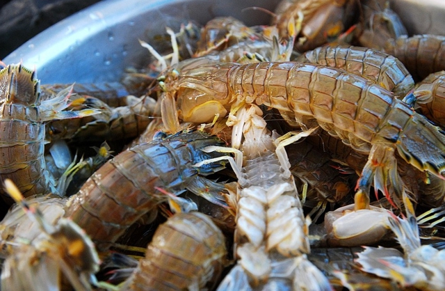 皮皮虾镉超标按什么标准罚摊主,食品皮皮虾镉超标怎么处罚