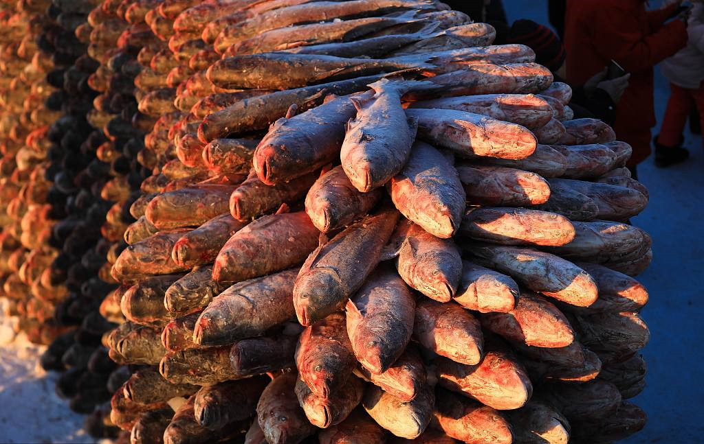 查干湖冬捕长达40天，胖头鱼堆积成山，千万游客在现场参观买鱼