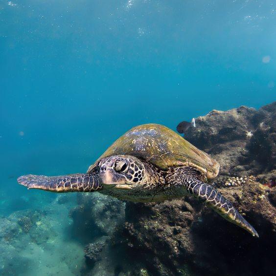 机加酒不用3000元！盘点5个能玩出小资感觉的「高CP值」旅游国家