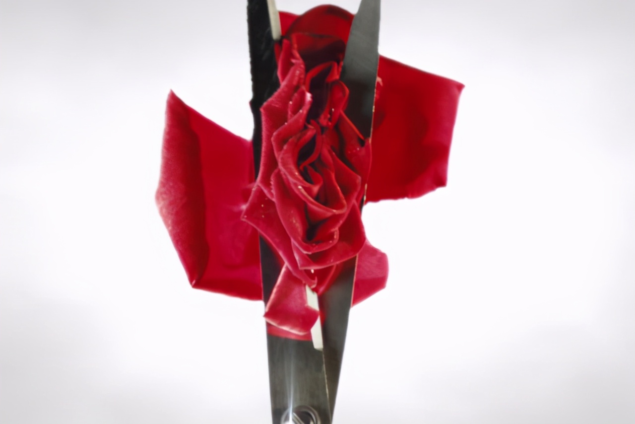 世界上多少女人被老公杀了,全世界有多少人切除子宫卵巢