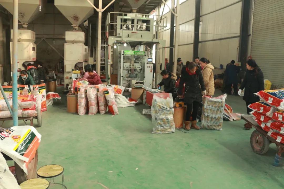 鑲ヤ埂娌冨湡绉嶄笟,鑲ヤ埂娌冨湡绉嶄笟鏈夐檺鍏徃鍦板潃