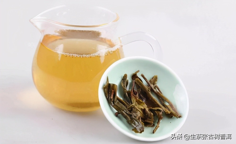 干货分享西双版纳普洱茶茶山行,普洱茶马古道起点