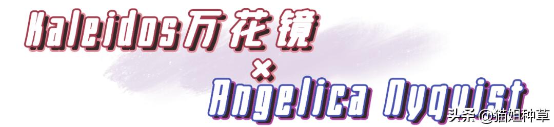 动森要出新作,动森会有新作么