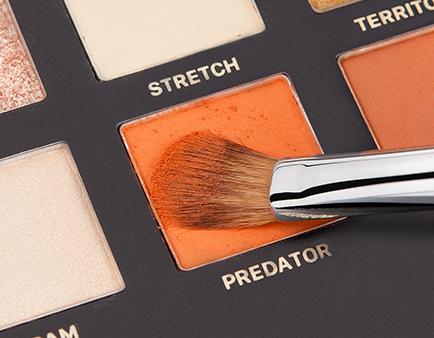 扫盲贴是什么,新手化妆刷扫盲大攻略来啦