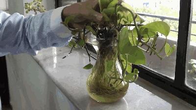 防蚊灭蚊详细方案,防蚊灭蚊最新视频