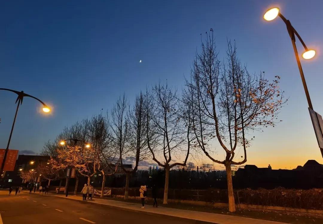 辽宁省民办大学（二）大连东软信息学院