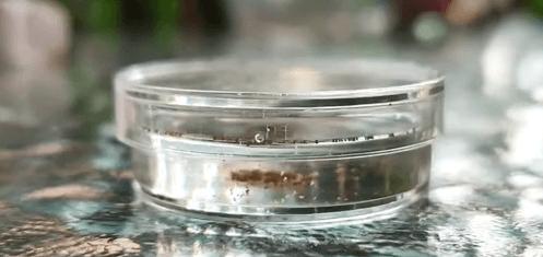 儿童最潮玩具,适合孩子玩的爆款玩具