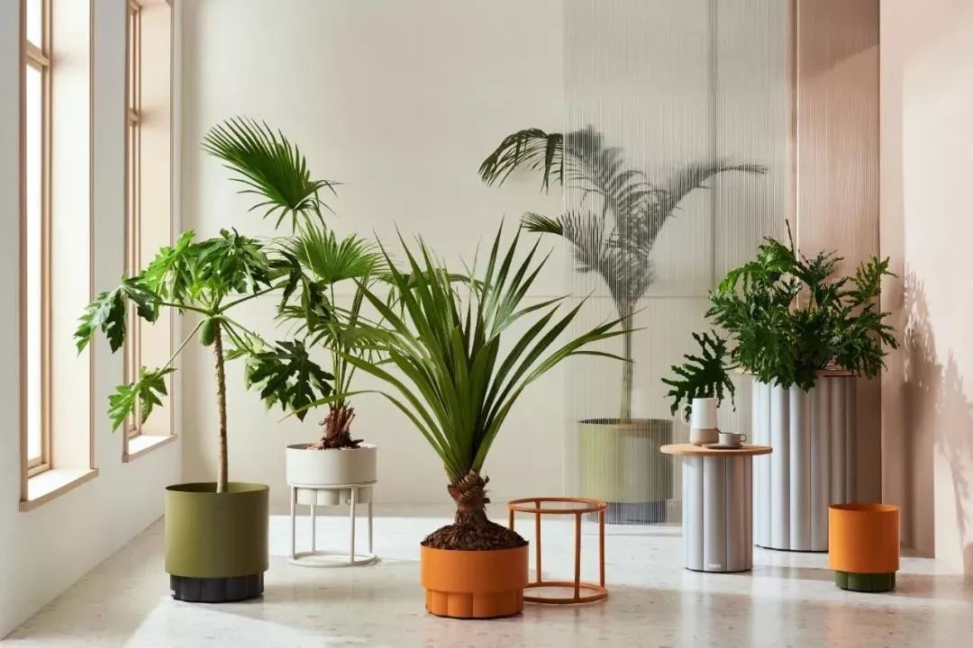 999皮炎平出口红,999皮炎平口红包装