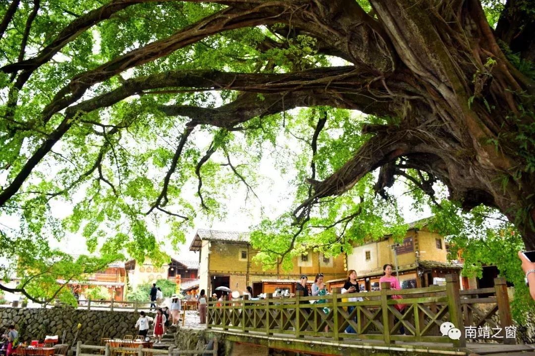 南靖土楼旅游攻略自由行,福建漳州南靖土楼旅游攻略