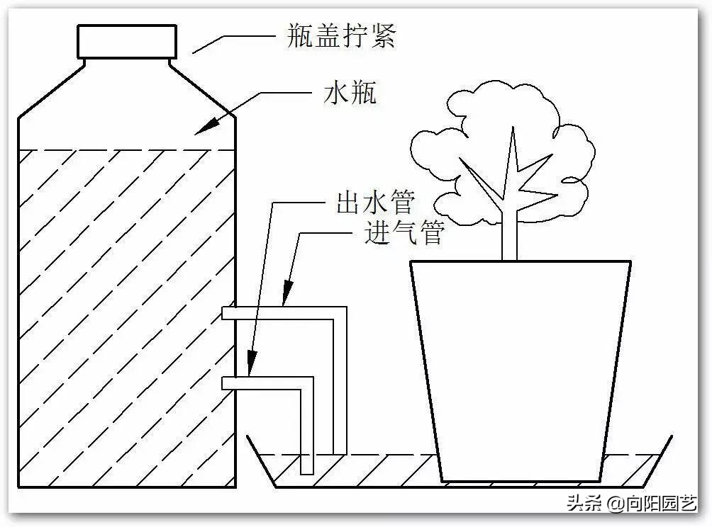 出差自制浇水神器,出外旅游自制浇花神器