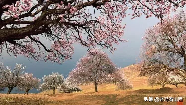 山西省应县历史,历史上山西浑源