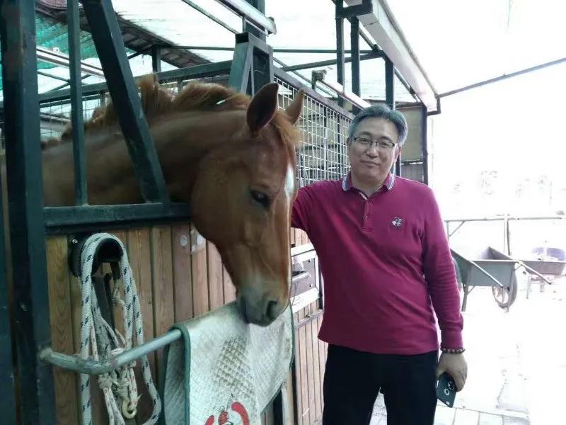 八骏雄风字画,名家精品国画八骏图