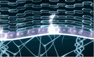 377美白淡斑精华液小安瓶原液,安瓶精华液和原液图片