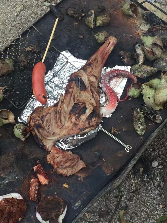 奇妙假期全集视频,奇妙假期意想不到的旅行