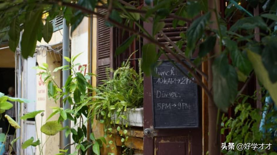 越南河内出名的菜品,越南河内美食图片大全