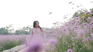 迟到的618好物推荐,618影像神器