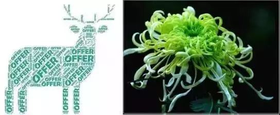 留学生常用语有哪些,留学生必备口语100句