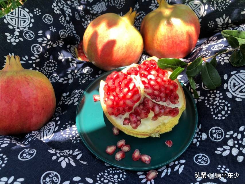 突尼斯软籽石榴苗真假辨别图片,突尼斯软籽石榴正宗苗