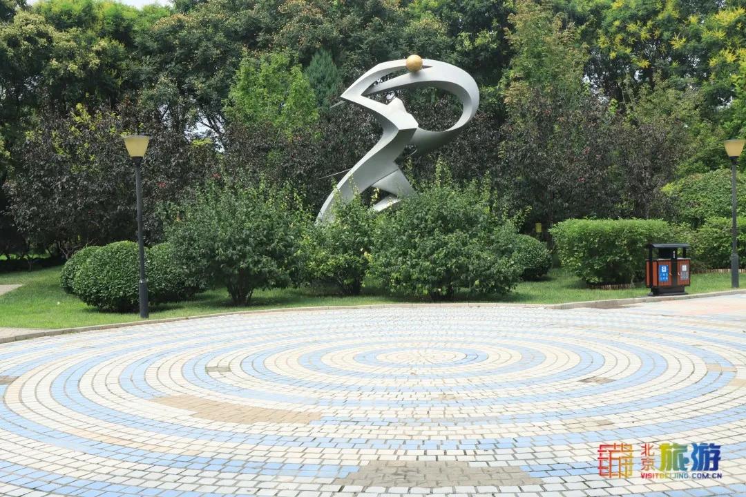 免费！市区就有“小森林”，花海芳香扑鼻！还有美好的祝福送给你