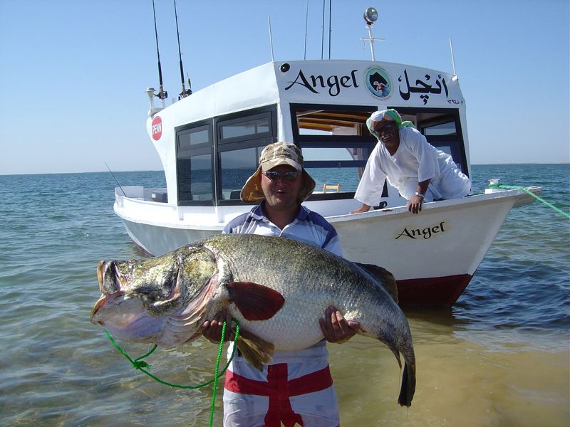 非洲巨型尼罗河鲈鱼泛滥成灾，中国吃货们表示要将其吃成回忆