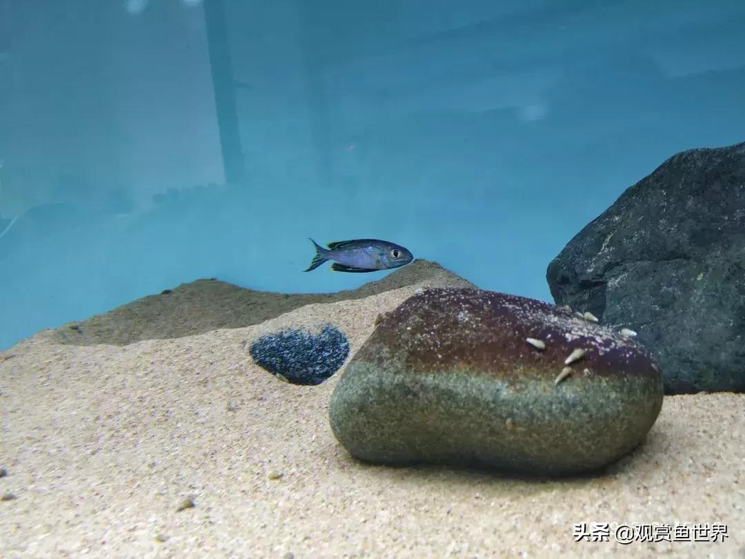 梦想的三湖世界持续建设中……方位:中国天津