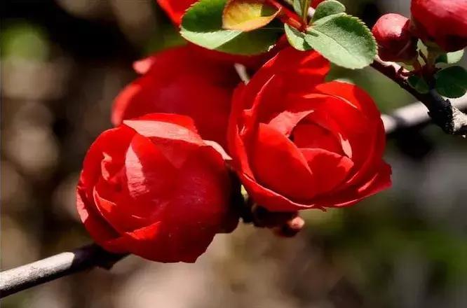 宋扬小说欣赏——生活用力过猛