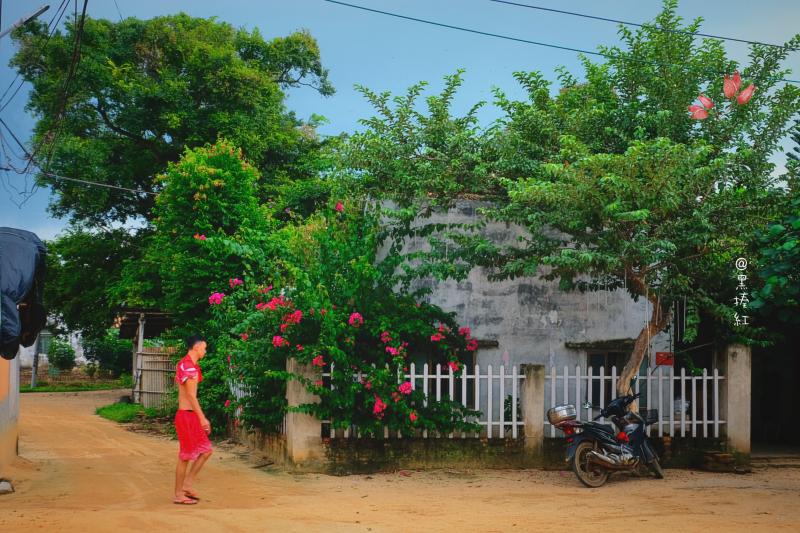 广东湛江旅游攻略赶海,湛江海边旅游攻略推荐地方