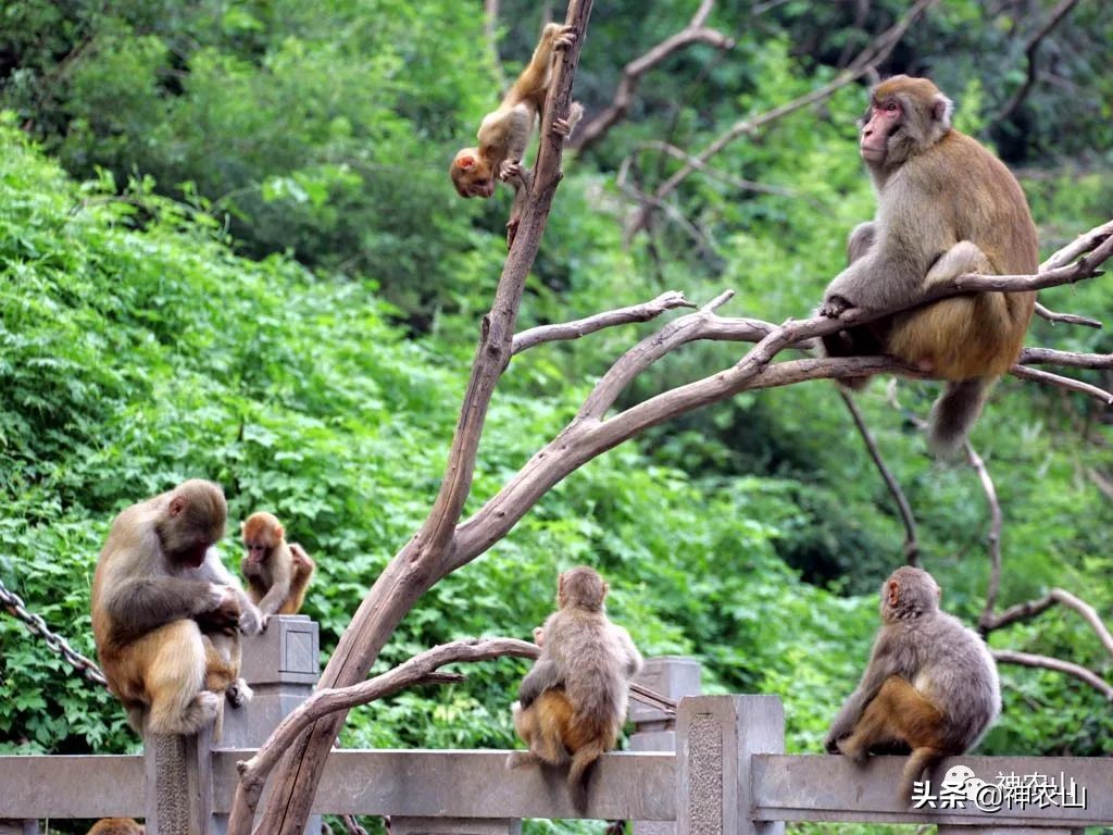 这就是生活第40集刘恺威,这就是街舞3
