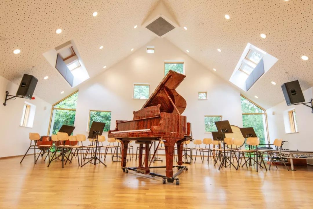 萨里沃特福德主教练,萨里郡大学