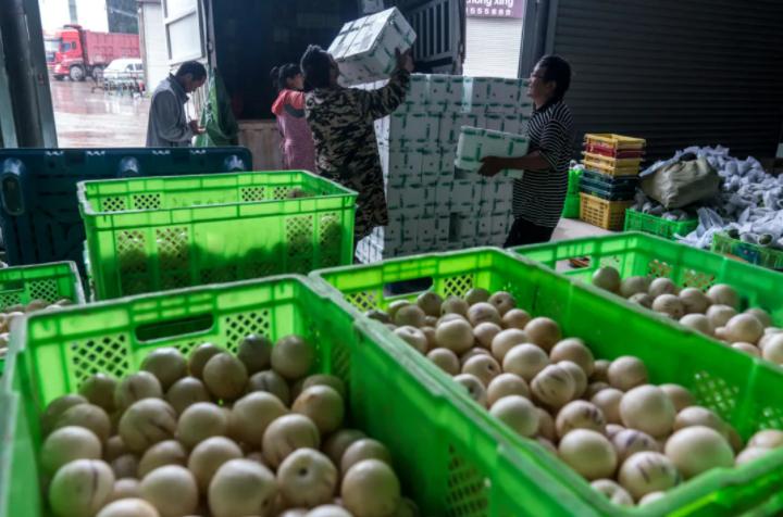 电商新农人逐梦乡村振兴大舞台,返乡新农人电商团队