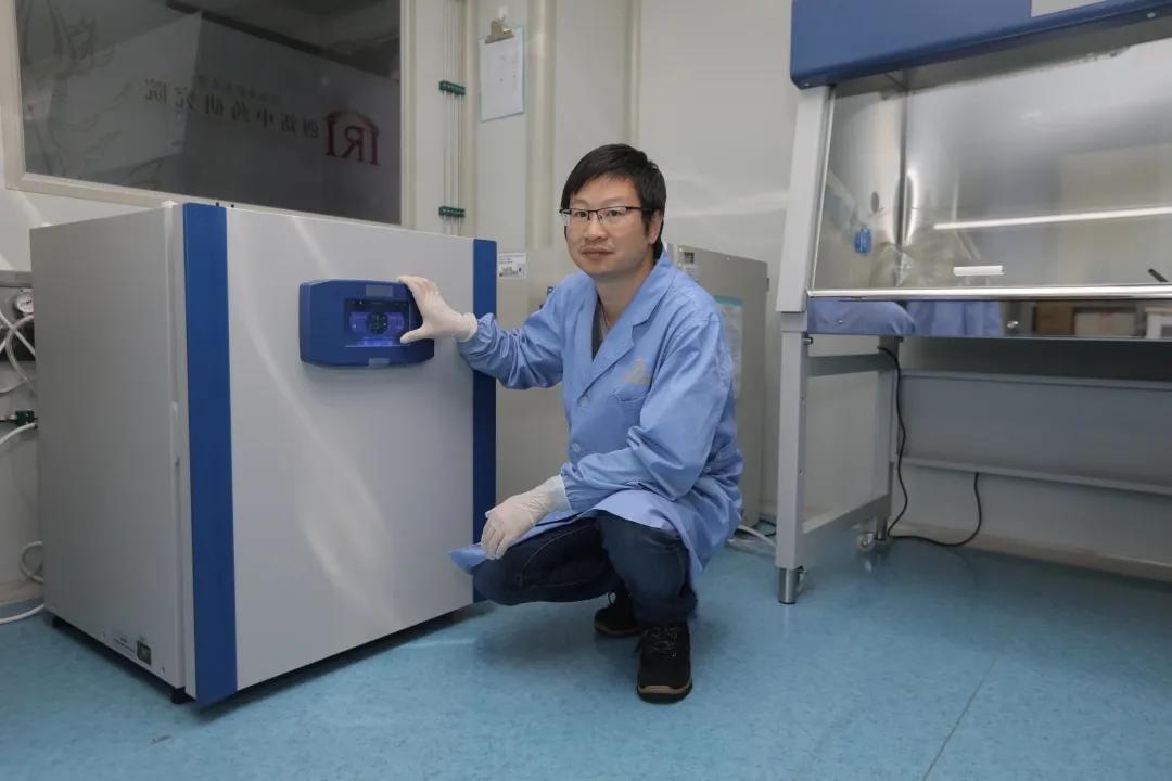 云育CO₂培养箱之细胞守护神“养成记”