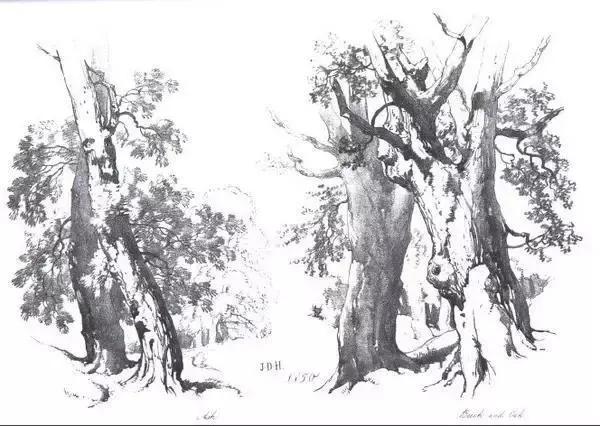 中学生20分钟风景速写临摹图片,速写风景怎么画得又快又好