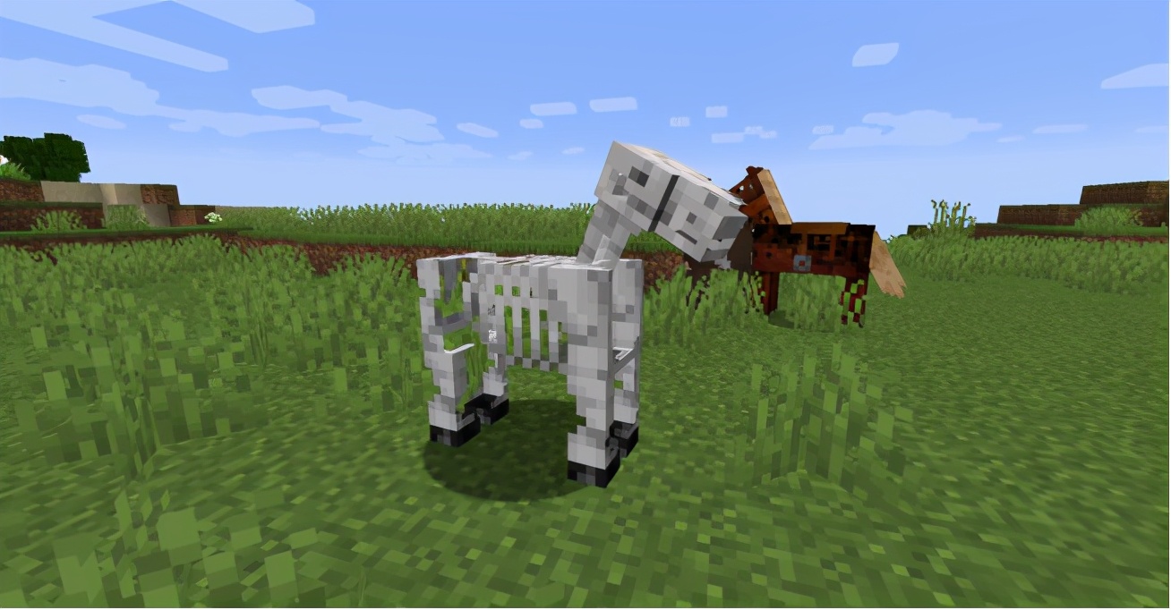 我的世界马属性一览表,我的世界骷髅马科普