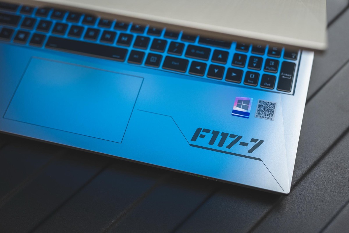 一台重量仅为1.85kg的游戏本机械师F117毒药