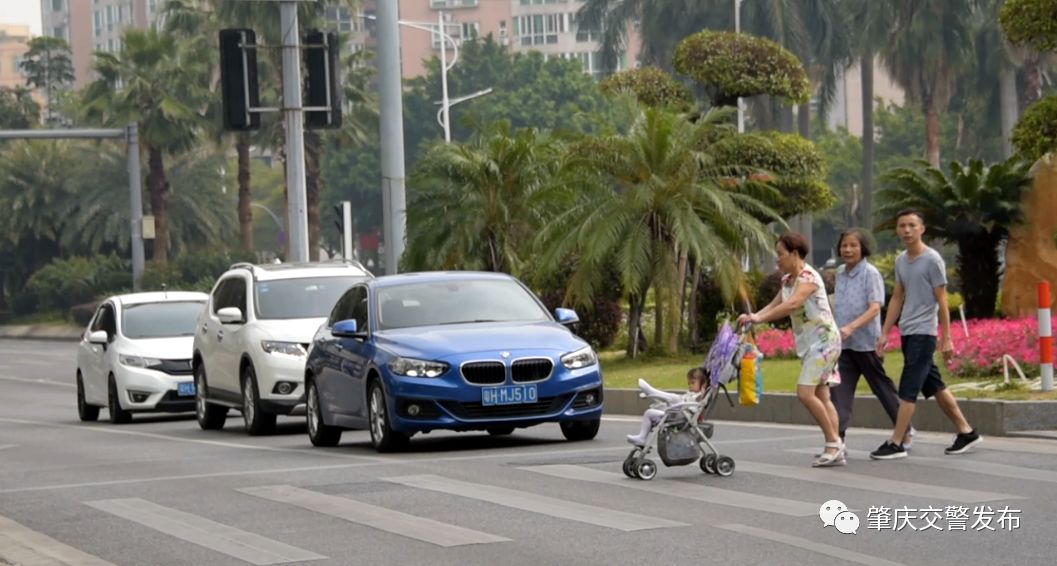 肇庆斑马线,肇庆斑马线前让行视频