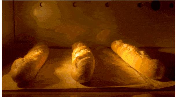 法国的这根神棍有多硬核？能吃能玩还能当*器武**（菲李漫画）