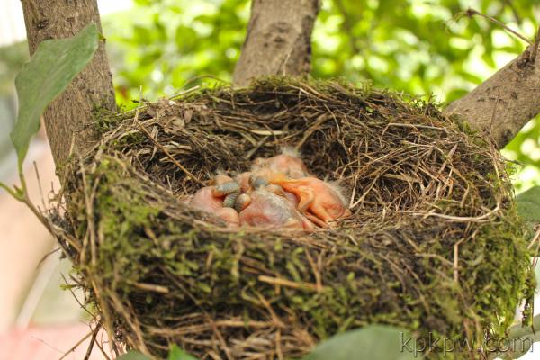 带你寻找记忆中的童年,我的童年既是怎样的又是怎样的