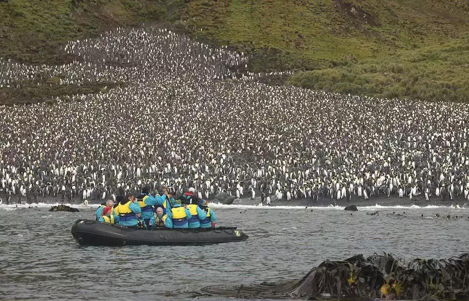 来澳洲才知道的事,来悉尼才知道的事