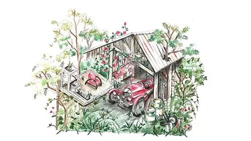 切尔西花展举办,2020年切尔西花展抢先看