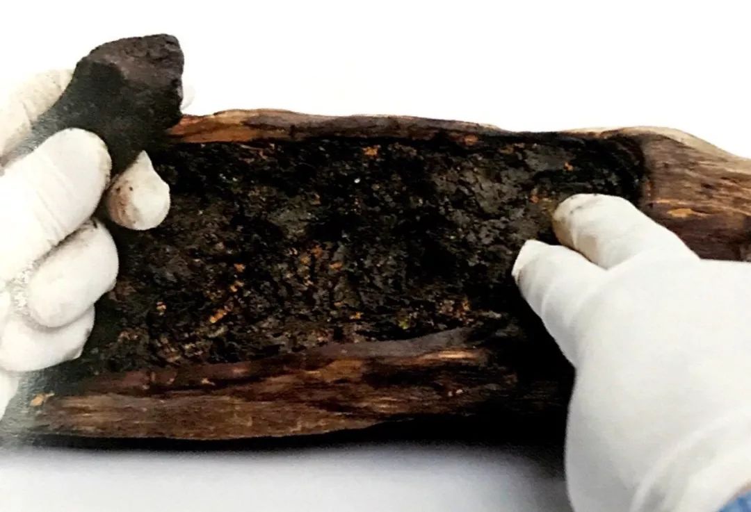 枯木也能逢春，仅需要一点点苔藓，将其制作成为独特的苔藓盆景！