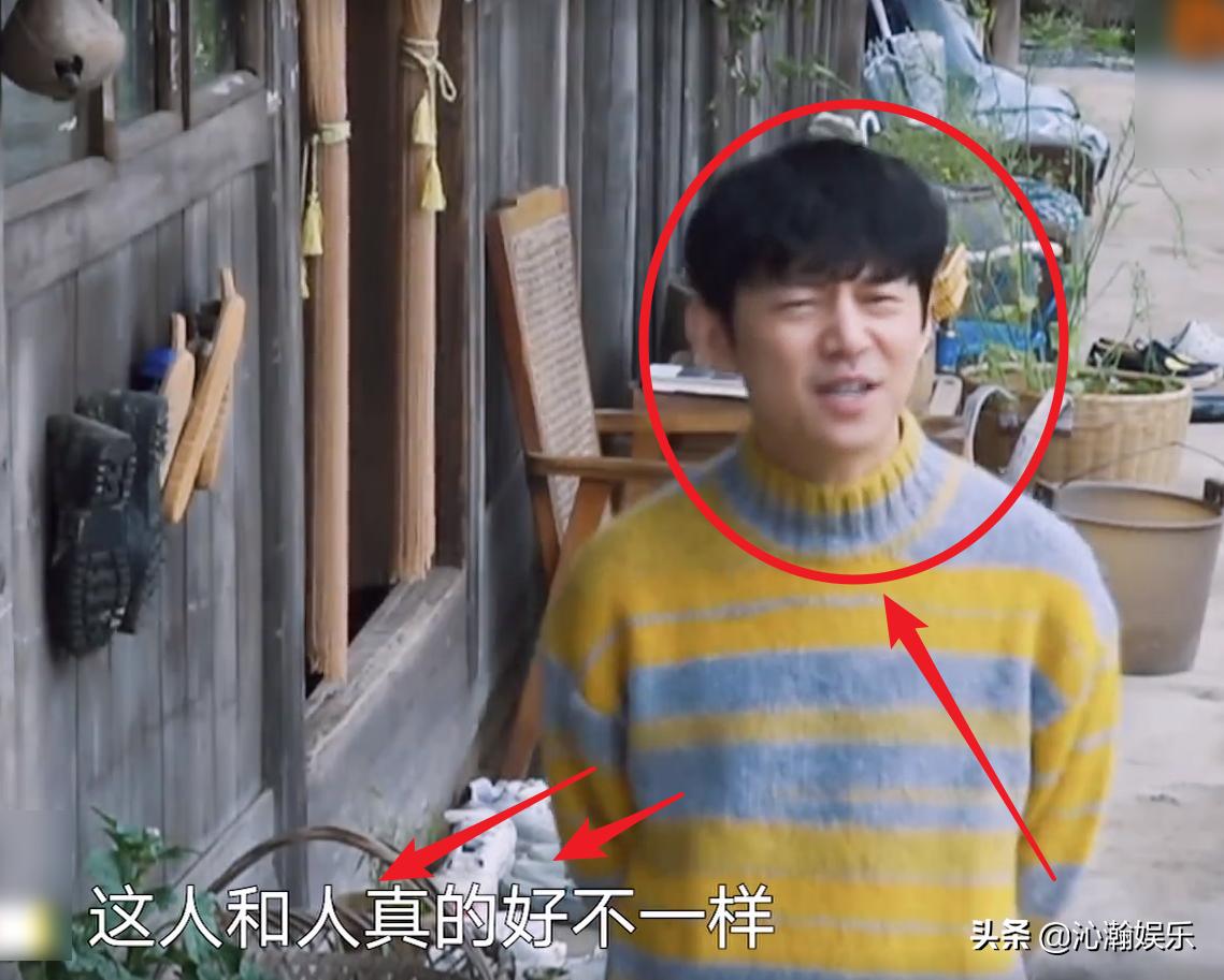 陈赫张艺兴张子枫,张艺兴陈赫张子枫