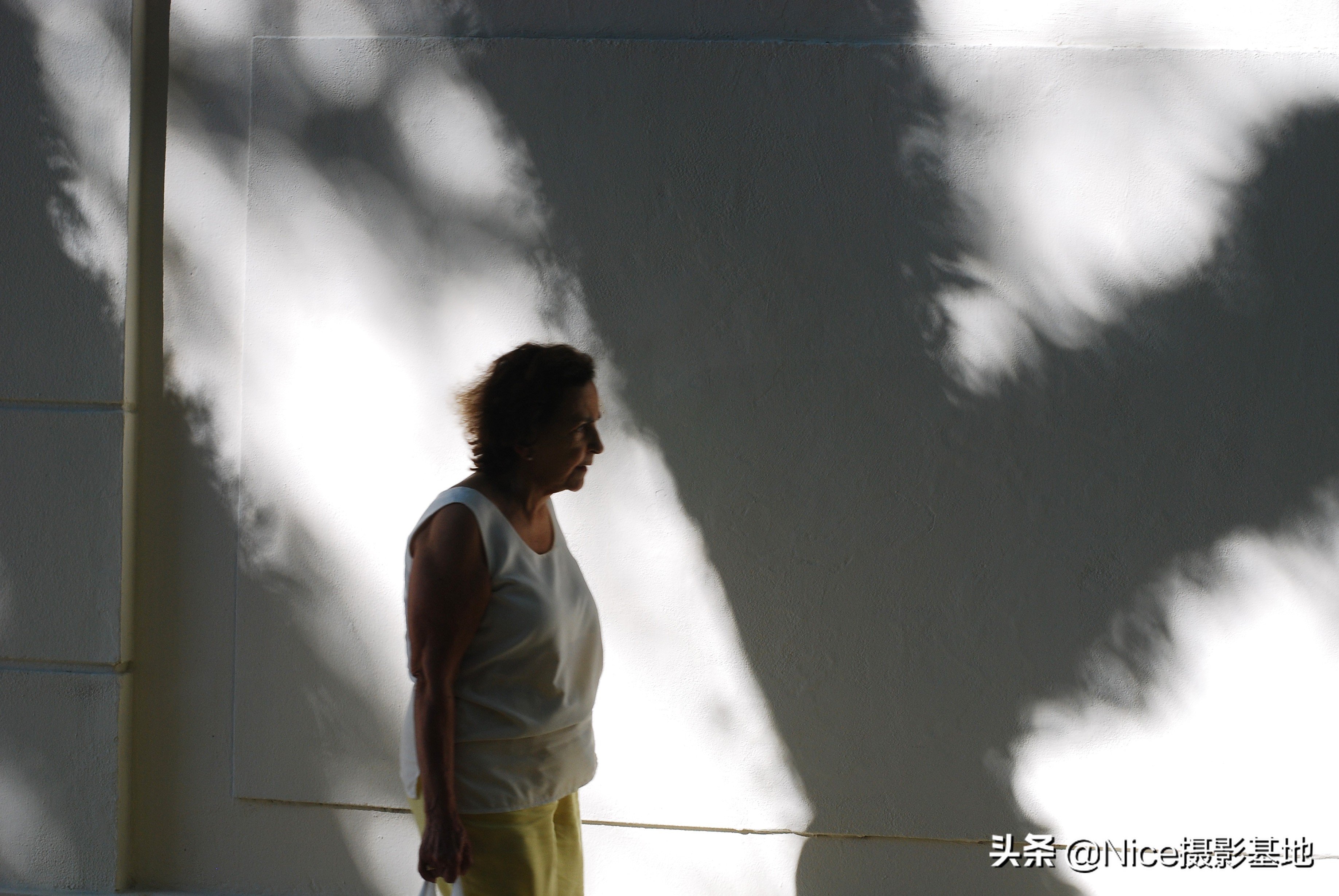 gustavominas鐢ㄧ殑鐩告満,gustavo浣滃搧娆ｈ祻