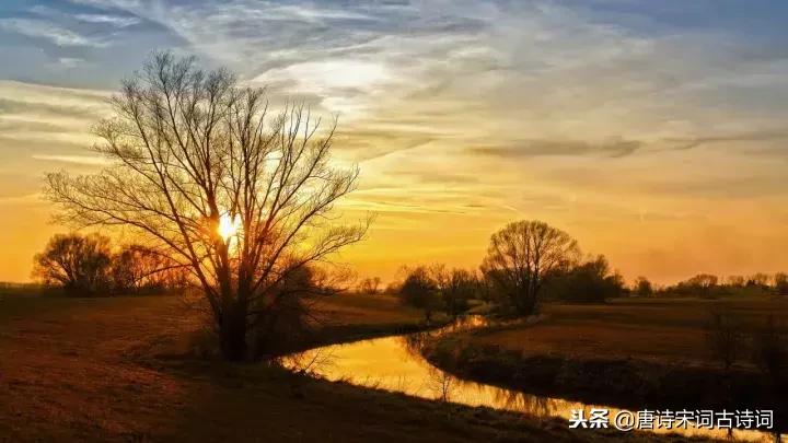 诗词夕阳西下断肠人在天涯,夕阳西下断肠人在天涯诗句鉴赏