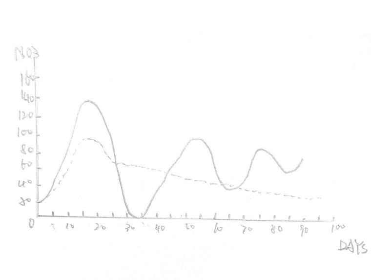 先造景再爆藻还是先爆藻再造景,先造景还是先养水