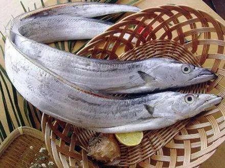 最好吃的海鱼十大排名,最好吃海鱼排行