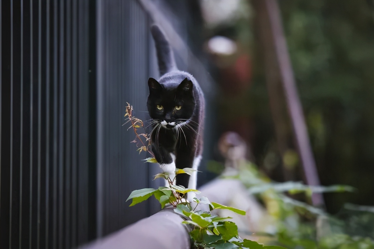 连用90天，拍摄近千G。EOSR5发布三个月后的使用报告