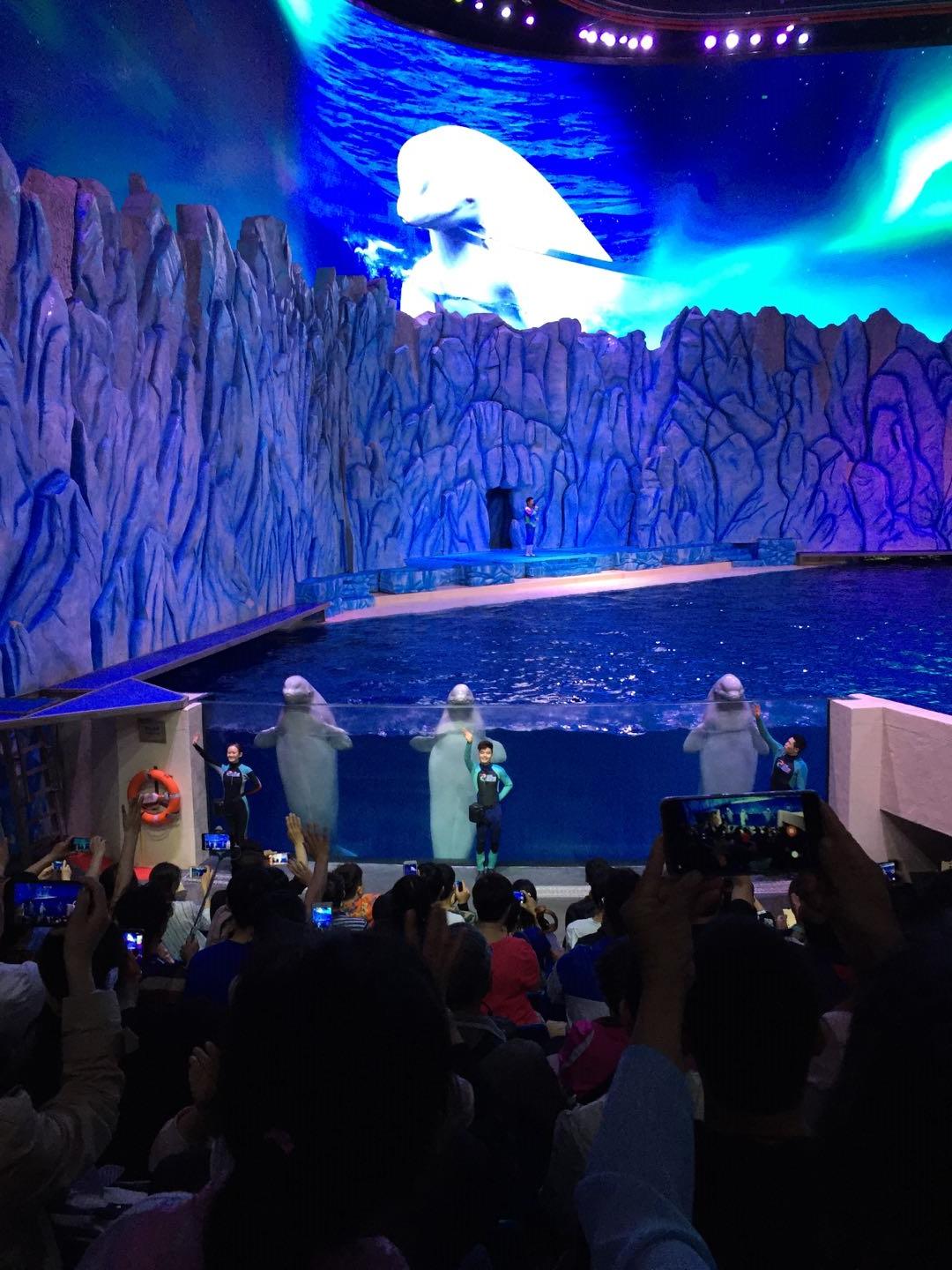 珠海长隆海洋王国附近美食,珠海长隆海洋王国官网预约