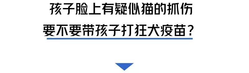 被猫狗咬伤如何正确处理,被猫狗咬伤十天了还能打针吗