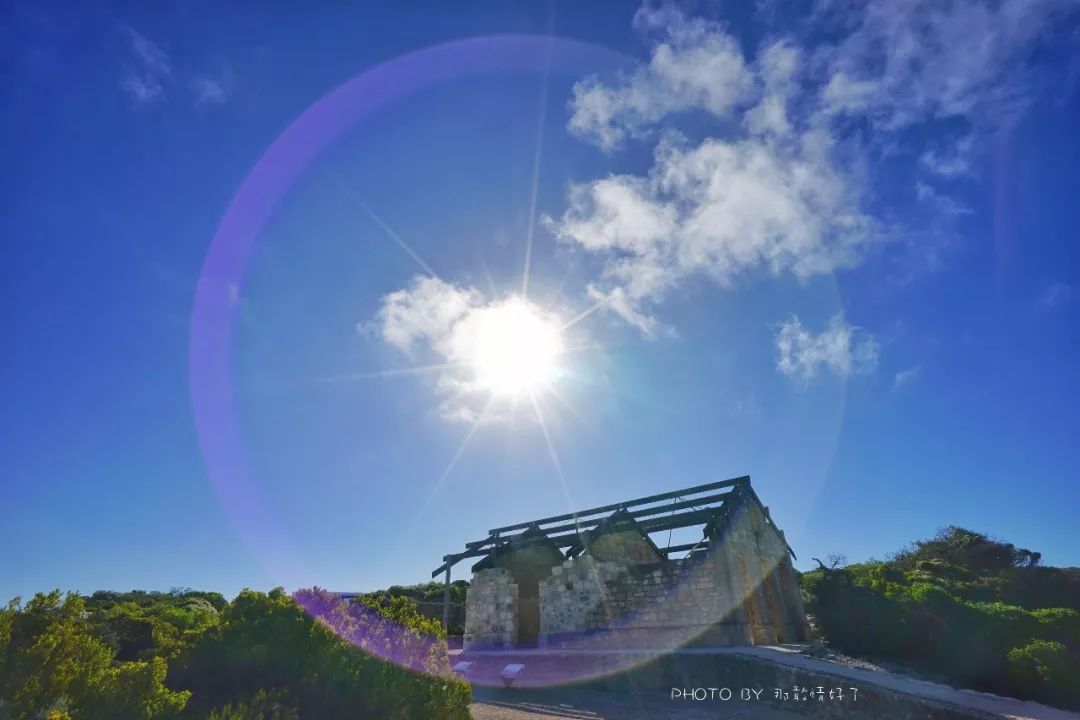 赴澳洲需要买的东西,去澳洲探亲要提供无犯罪记录吗